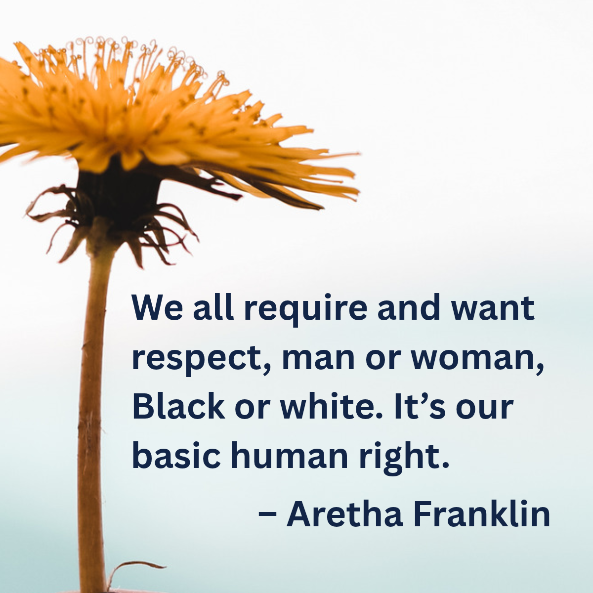 Quote: We all require and want respect, man or woman, Black or white. Ir's our basic human right. - Aretha Franklin....